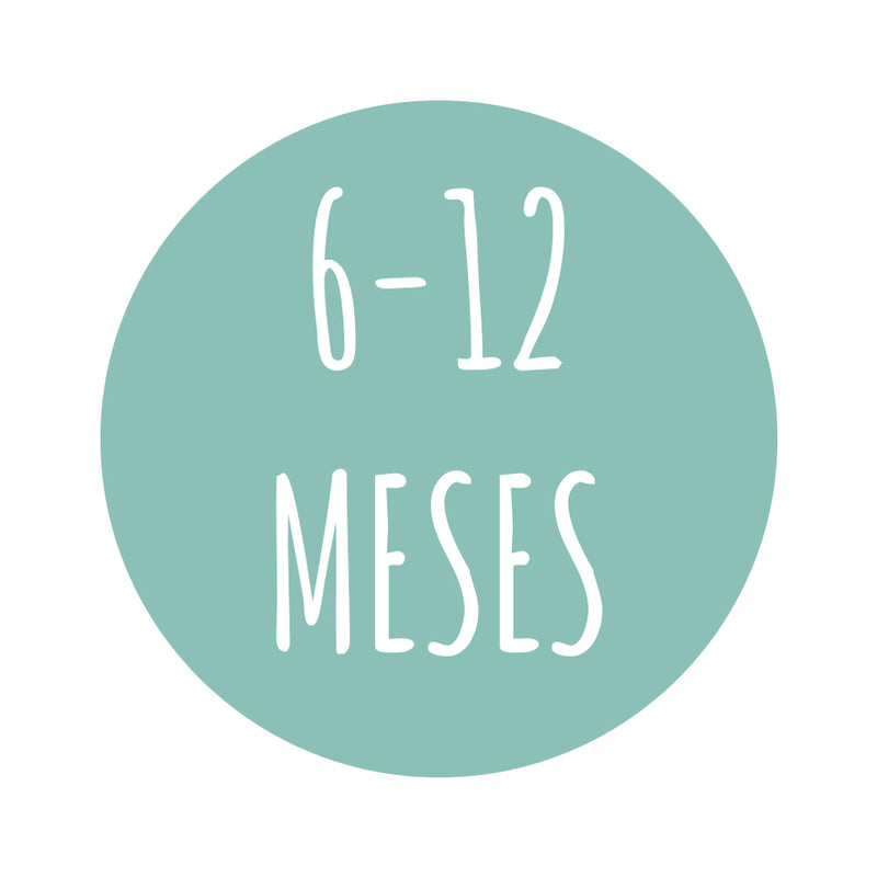 6-12 meses